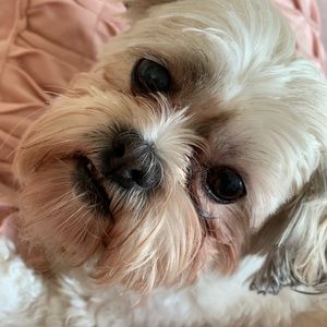 Meet your Posher, Olacia